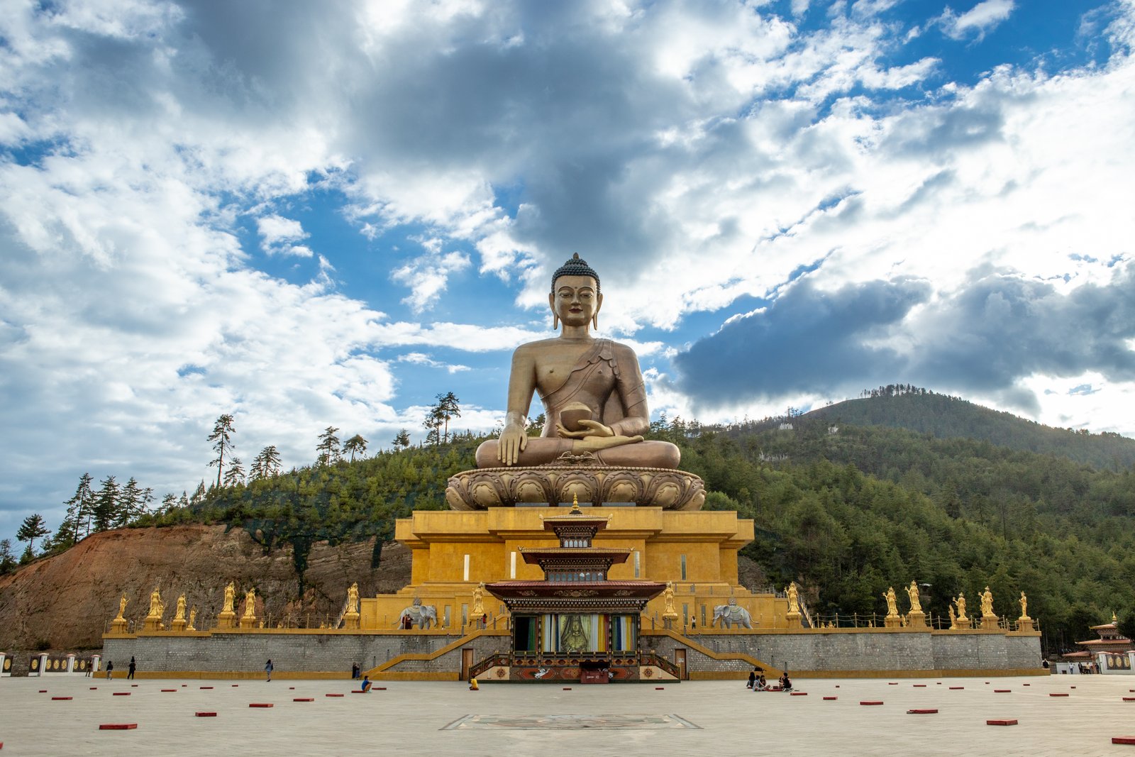 About Buddha Dordenma